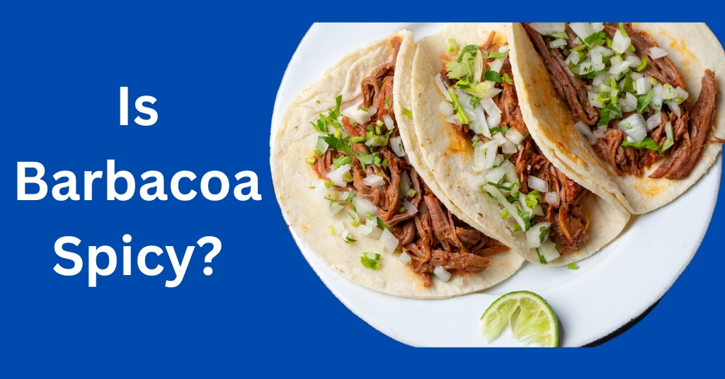 Is Barbacoa Spicy?